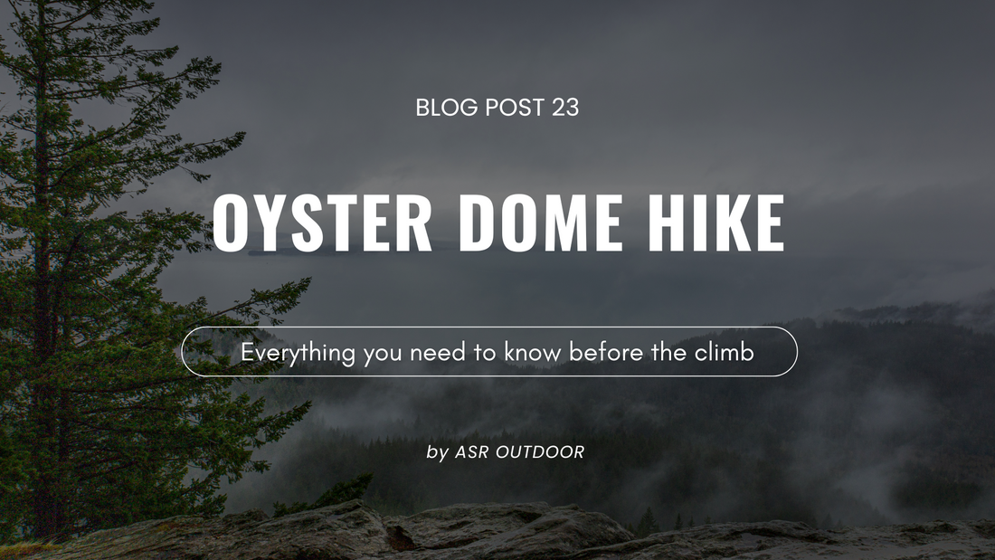 A Classic PNW Hike: Oyster Dome
