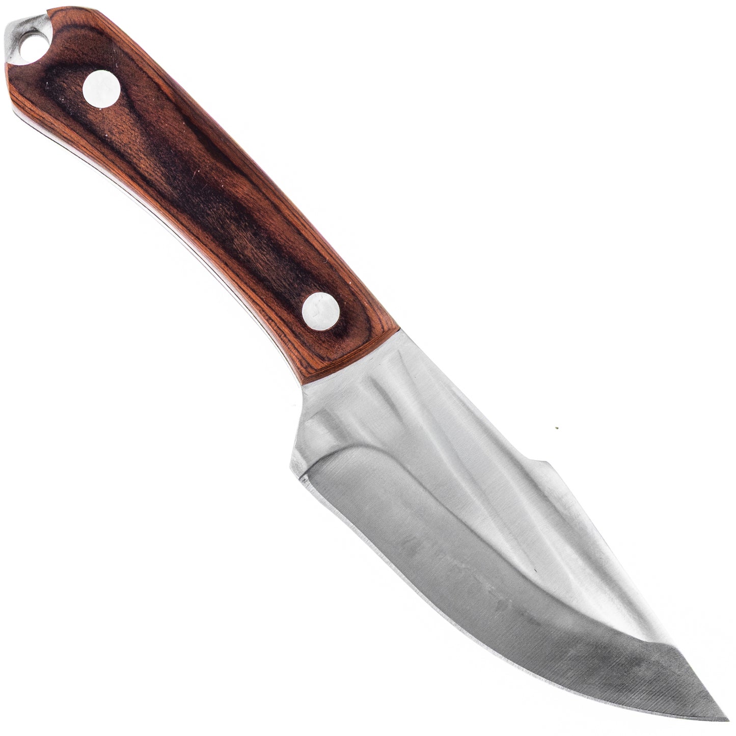 harpoon hunting knife with short blade full tang fixed blade 8 inches