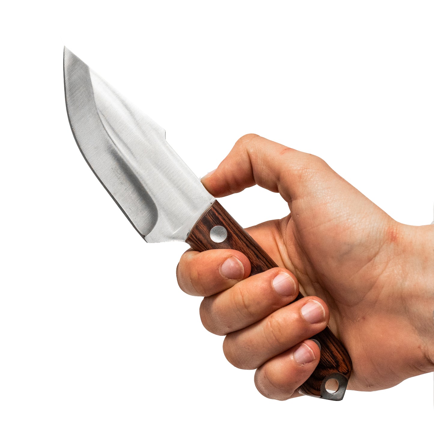 8 Inch Heavy Duty Full Tang Harpoon Point Fixed Blade Knife with Wood Handle and Belt Loop Sheath