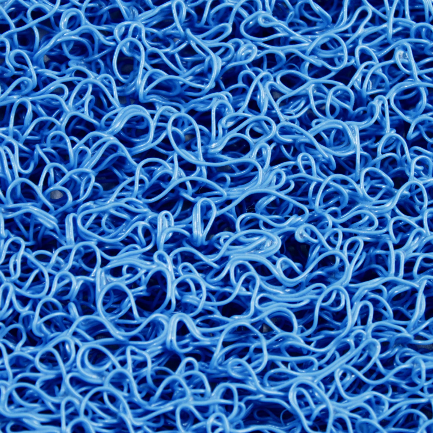 close up of blue miner's moss