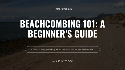 Beachcombing 101: A Beginner’s Guide to Finding Treasures on the Beach