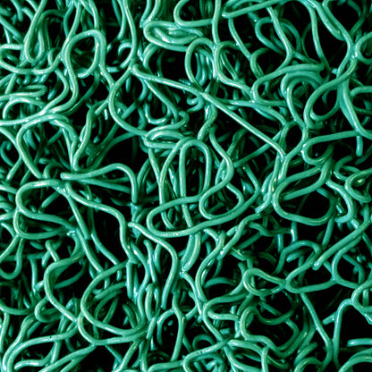detail close up of miner's moss